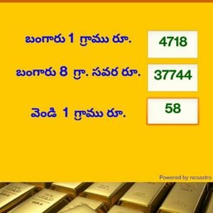 Meet your Posher, Roja.n